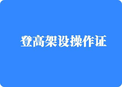 啊啊啊啊插进去逼逼视频登高架设操作证